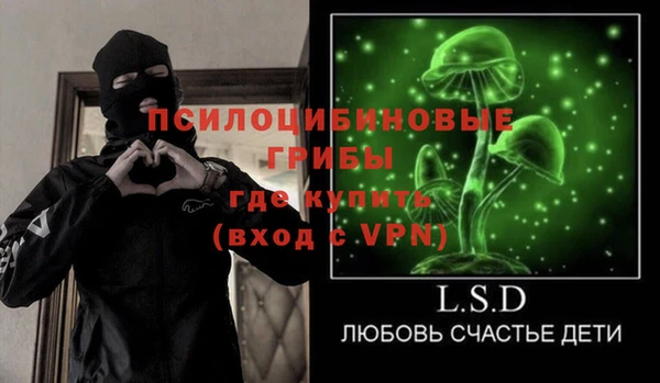 крисы Верея
