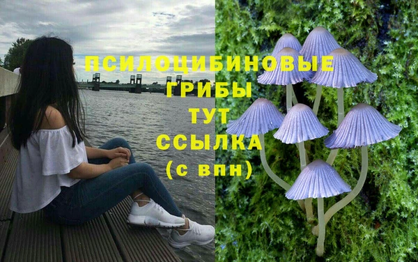 мдпв Богданович