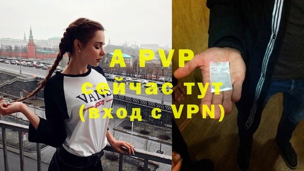 шишки Бронницы