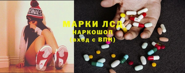 крисы Верея