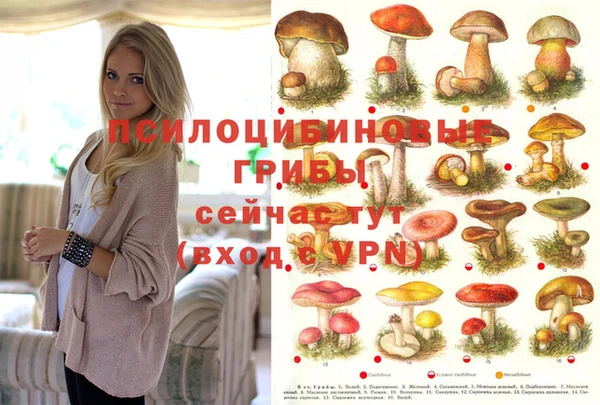 амф Бугульма